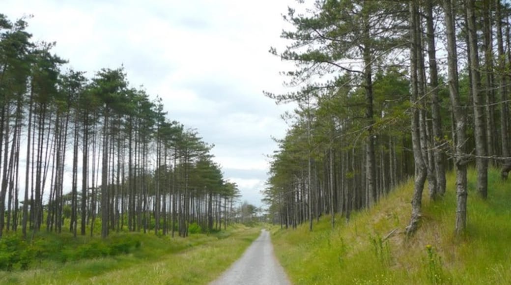 Photo "Pembrey Country Park" by Humphrey Bolton (CC BY-SA) / Cropped from original