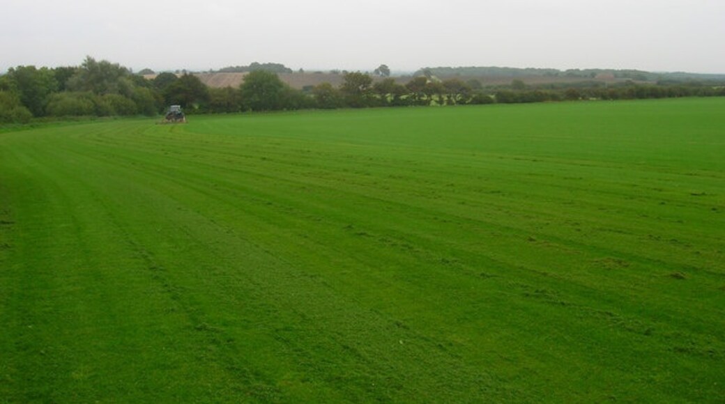 Foto "Selmeston" de Simon Carey (CC BY-SA) / Recortada do original