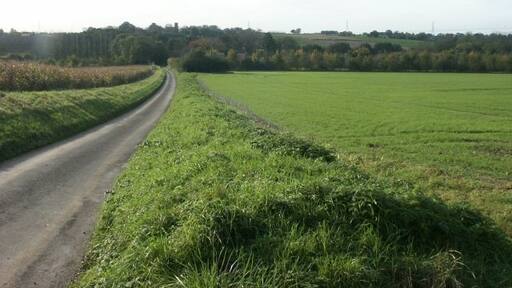 Foto „Marlingford and Colton“ von Katy Walters (CC BY-SA)/zugeschnittenes Original