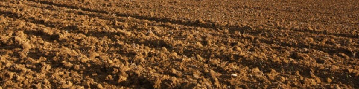 Photo "Ploughed fields at Westley These gently sloping fields lead down to the River Linnet, whilst the building in the centre is the Regional Headquarters of the National Trust, at Westley Bottom." by Bob Jones (Creative Commons Attribution-Share Alike 2.0) / Cropped from original