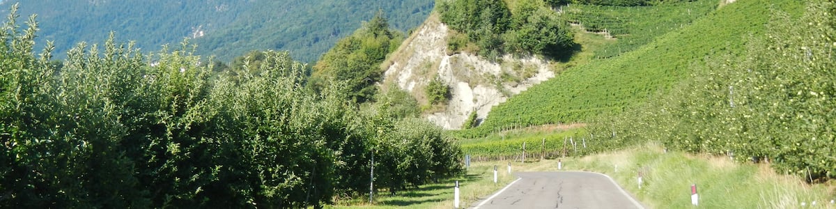 Photo "Südtiroler Weinstraße, Via Riva di Sotto" by qwesy qwesy (Creative Commons Attribution 3.0) / Cropped from original
