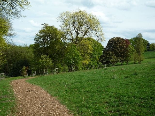 The Arboretum, Nymans Looking along the new path across the Arboretum.