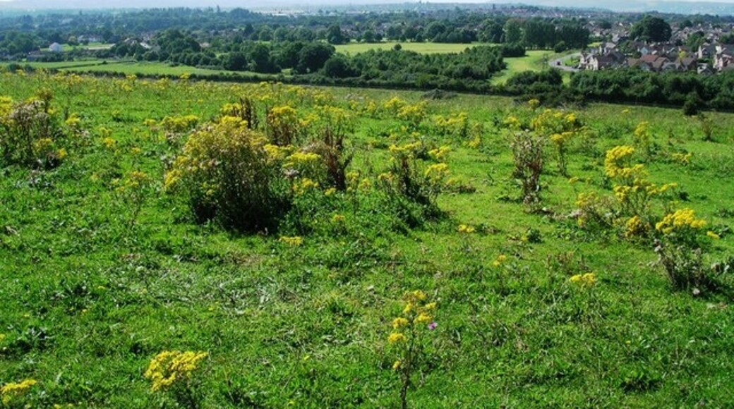 Kuva ”Hanham Abbots” käyttäjältä Damon Knight (CC BY-SA) / rajattu alkuperäisestä kuvasta