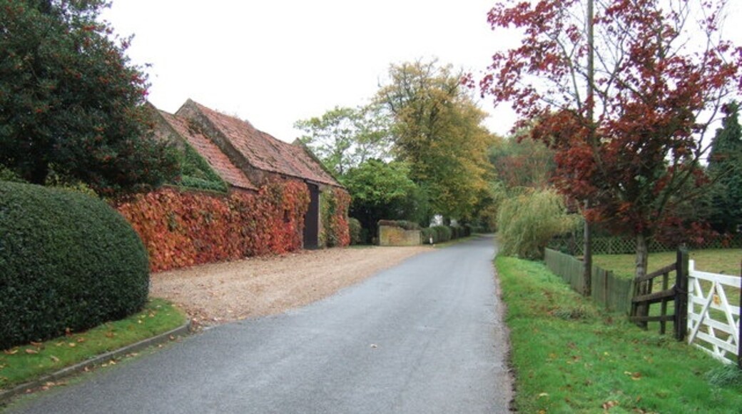 Photo "Gorefield" by Richard Humphrey (CC BY-SA) / Cropped from original