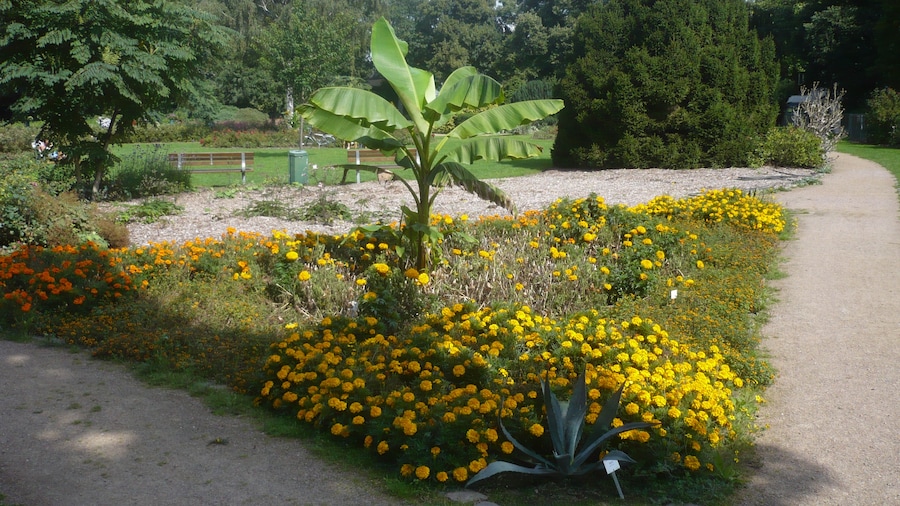 Photo "Eichtalpark Botanischer Sondergarten" by Feyzo_style (Creative Commons Attribution 3.0) / Cropped from original