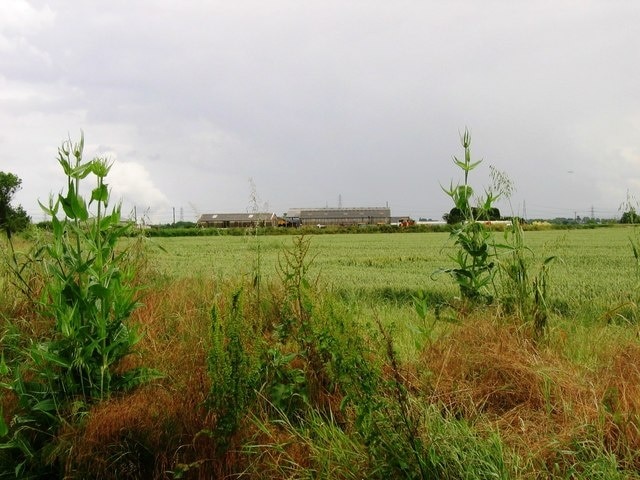 Foto "Aislaby" de Graham Scarborough (CC BY-SA) / Recortada do original