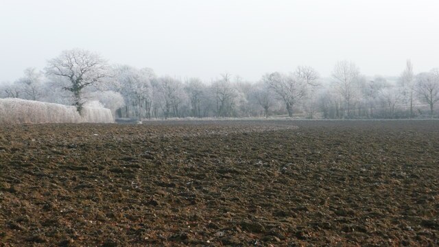 Foto "Mickfield" de Colin Denny (CC BY-SA) / Recortada do original