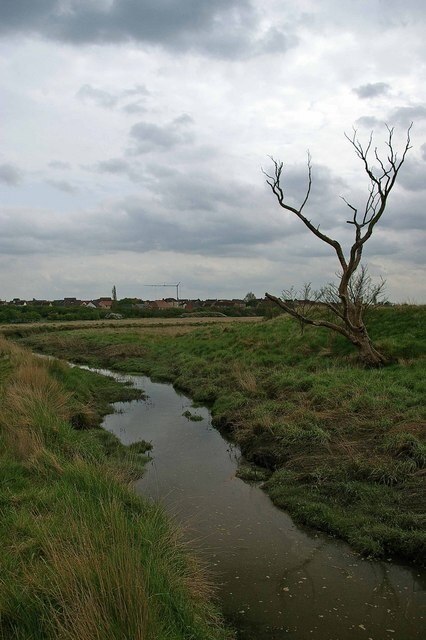 Fenn Creek Fenn Creek is in Woodham Fen Nature Reserve. South Woodham Ferrers is in the background the reserve is managed by Essex Wildlife Trust for more info see http://www.essexwt.org.uk/visitor_centres__nature_reserves/woodham_fen/