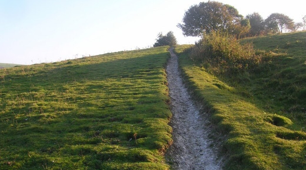 Billede "Storrington og Sullington" af Simon Carey (CC BY-SA) / beskåret fra det originale billede