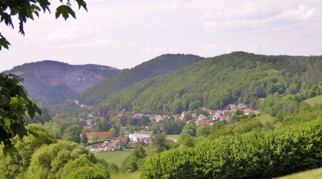 Foto “Bad Berneck im Fichtelgebirge” tomada por G. Zapf (CC BY); recorte de la original