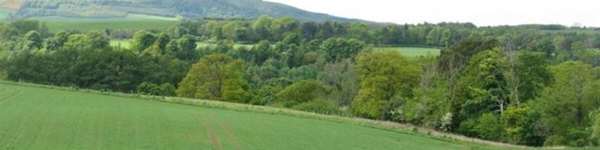 Photo "Barley field at Midfield The trees conceal the valley of the River North Esk, and the north eastern end of the Pentland Hills are in the distance." by M J Richardson (Creative Commons Attribution-Share Alike 2.0) / Cropped from original