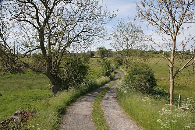 The lane to Broomyshaw