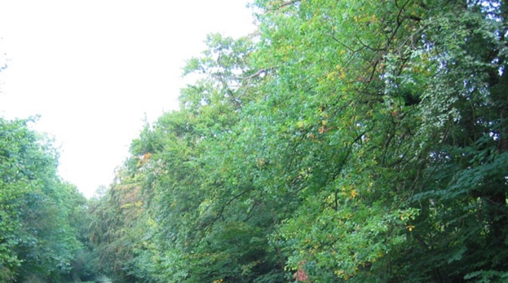 "Norton in Hales"-foto av Espresso Addict (CC BY-SA) / Urklipp från original