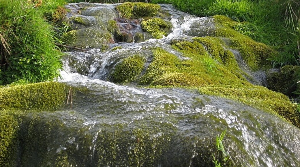 "Exmoor"-foto av Rupert Fleetingly (CC BY-SA) / Urklipp från original