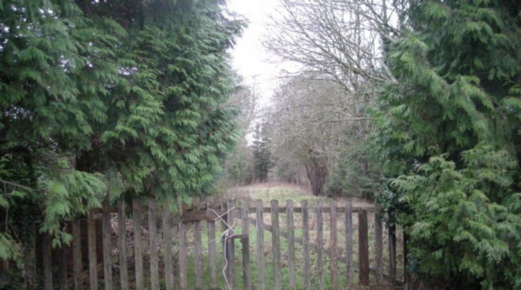 Photo "Ford" by Row17 (CC BY-SA) / Cropped from original