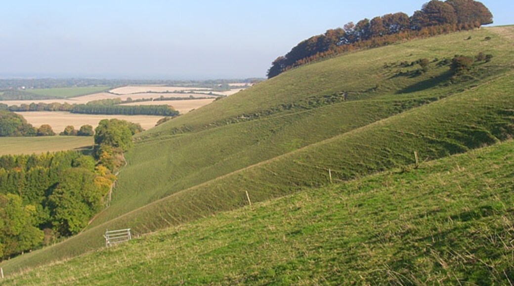 Foto "Ham" por Andrew Smith (CC BY-SA) / Recortada de la original