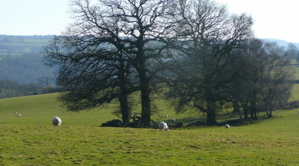 Foto “Welsh Bicknor” tomada por Jonathan Billinger (CC BY-SA); recorte de la original