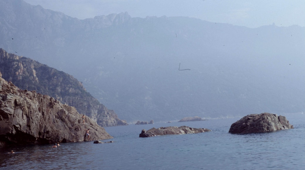 Photo "Gulf of Porto" by rene boulay (CC BY-SA) / Cropped from original