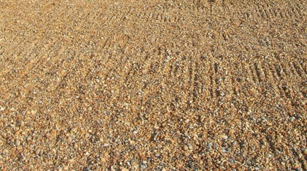 Foto "Playa de Winchelsea" por Simon Carey (CC BY-SA) / Recortada de la original