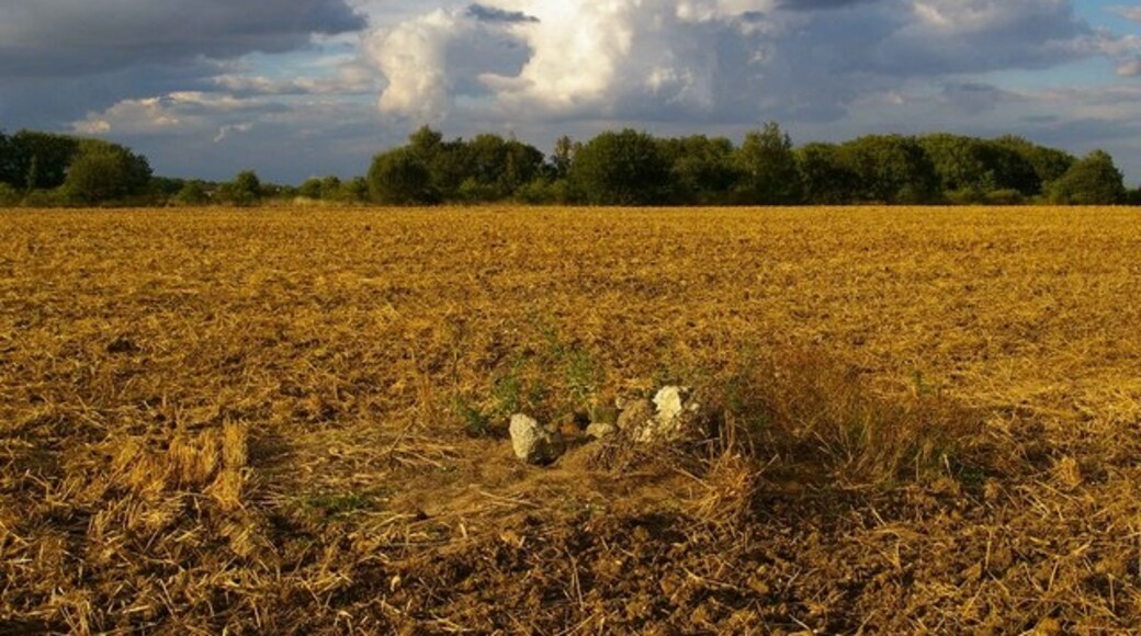 Kuva ”Little Easton” käyttäjältä Glyn Baker (CC BY-SA) / rajattu alkuperäisestä kuvasta