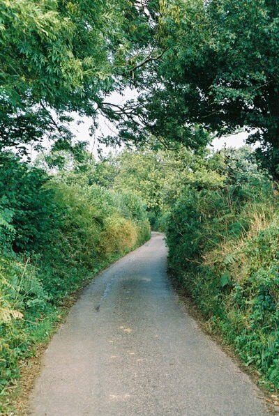 Culmstock: lane near Spiceland.