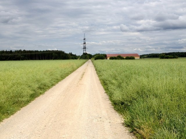 Feldweg bei Hergolding