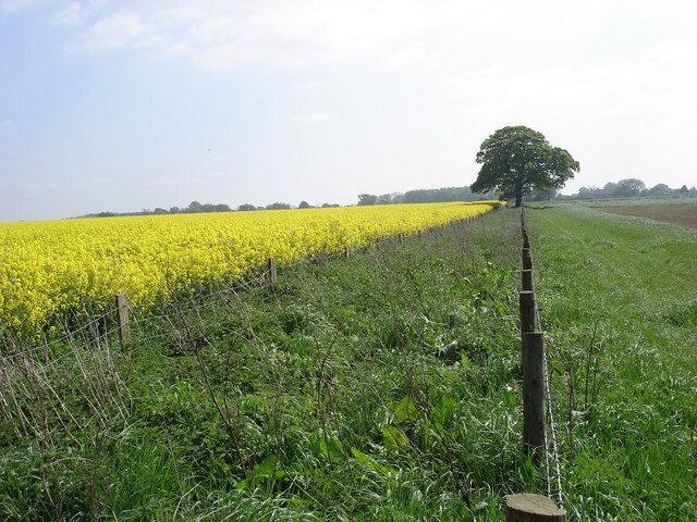 Foto „Kirk Hammerton“ von Frank Glover (CC BY-SA)/zugeschnittenes Original