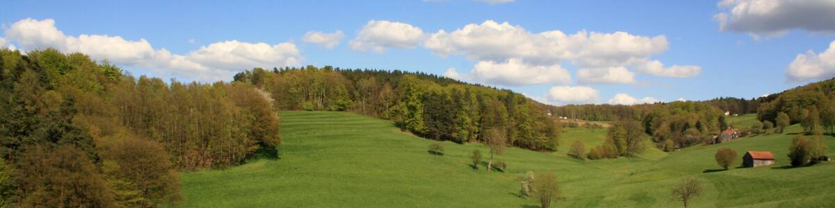 Photo "Landschaft Wehlgraben, Landschaftsschutzgebiet „Hessische Rhön“" by Verum (Creative Commons Attribution-Share Alike 3.0) / Cropped from original