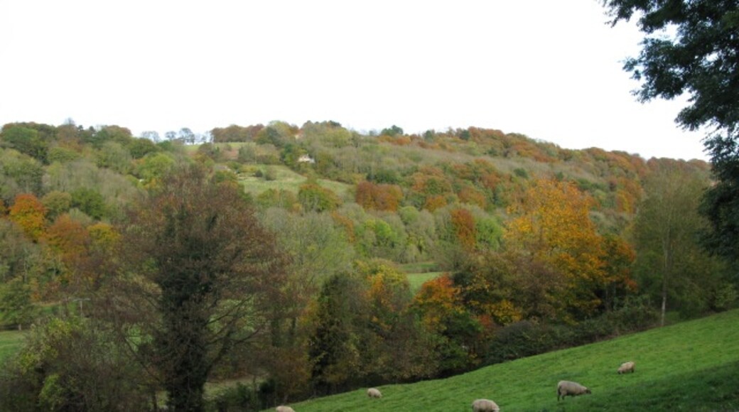 Photo "Limpley Stoke" by Nick Smith (CC BY-SA) / Cropped from original