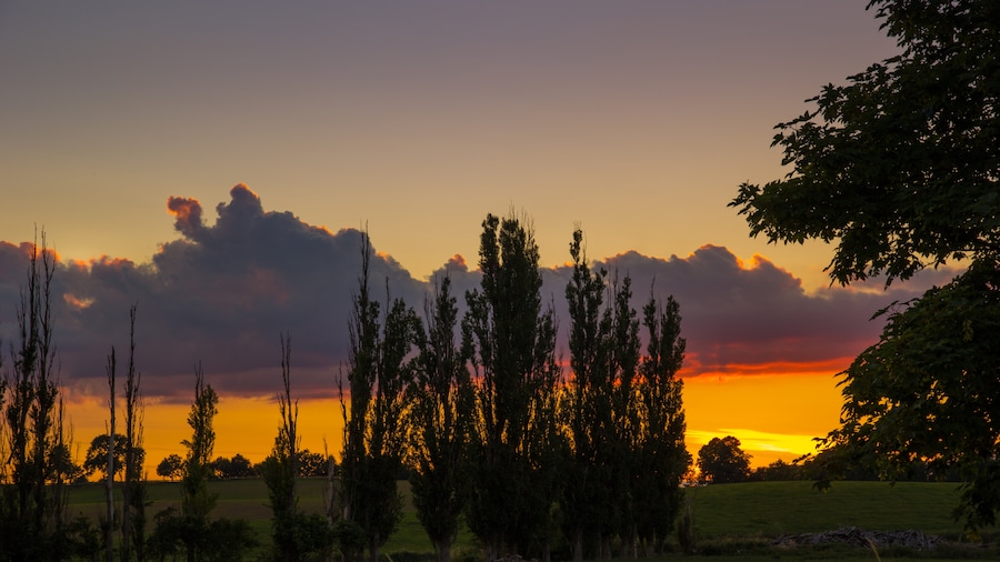 Photo "A little bit south flair in the north of Germany - View of the "Sumpfsee"-meadows in Güstrow at sunset." by Marlis Börger (Creative Commons Attribution 2.0) / Cropped from original