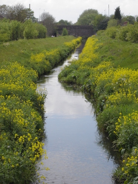 Platt Brook. Platt Brook runs parallel to the old railway line, now part of the Fallowfield Loop cycle path.