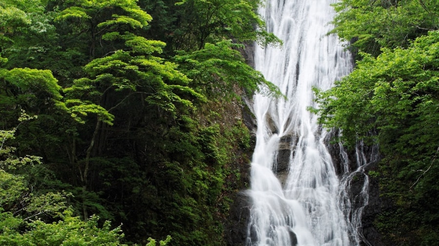 Photo "丸神の滝 / Marugami-no-taki waterfall" by shinohal (Creative Commons Attribution-Share Alike 3.0) / Cropped from original