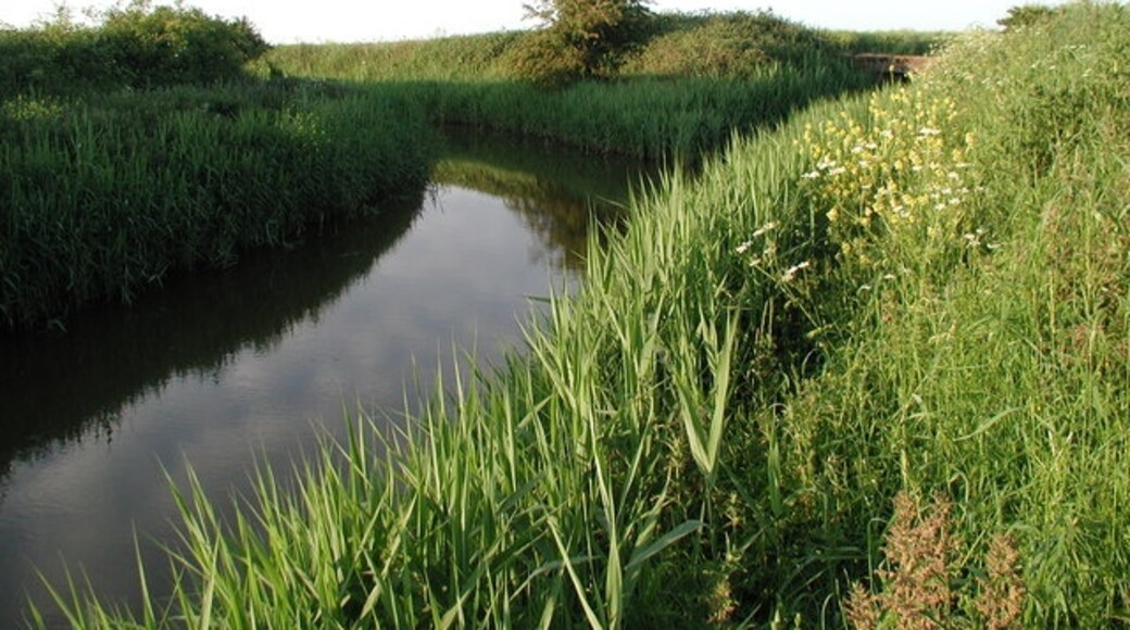 Ảnh "Halsham" của Paul Glazzard (CC BY-SA) / Cắt từ ảnh gốc