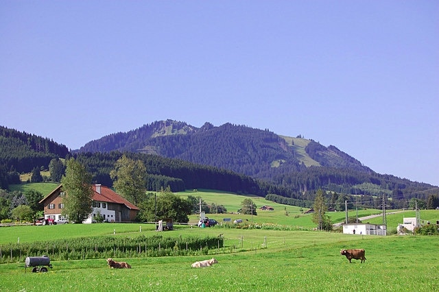 Wiese bei Nesselwang