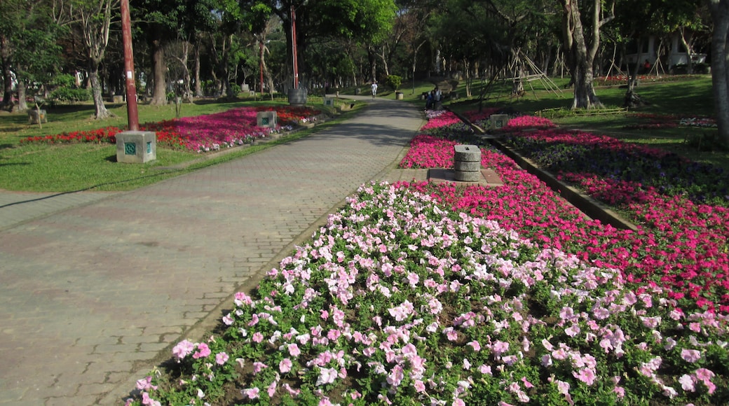 Foto "Taman Chiayi" oleh Chi-Hung Lin (CC BY-SA) / Dipotong dari foto asli