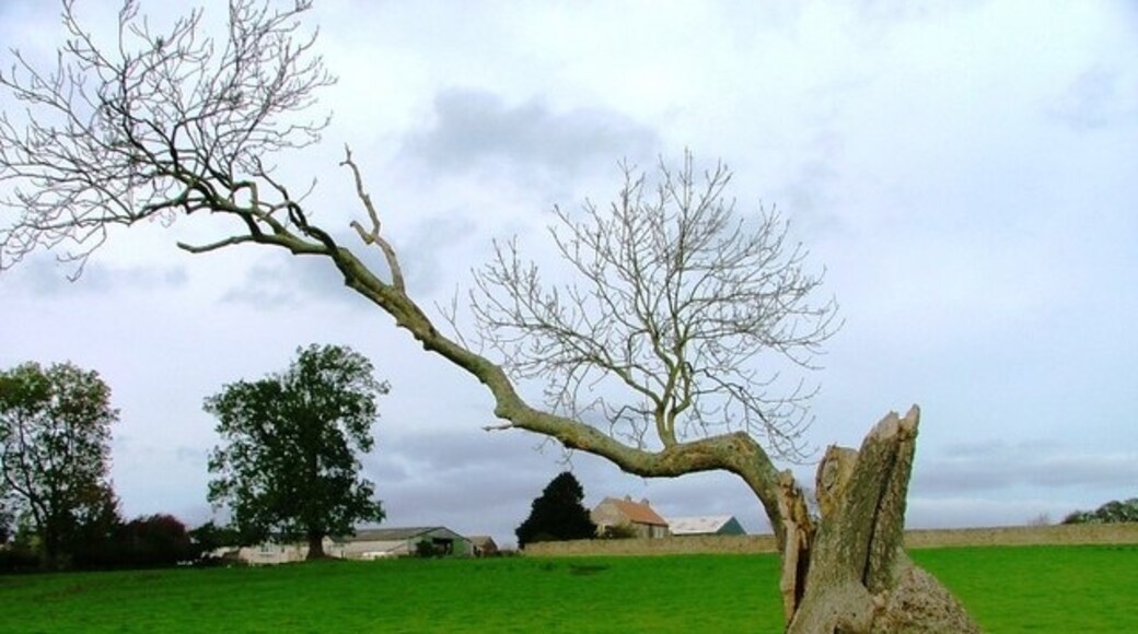 Foto "Heighington" por Mick Garratt (CC BY-SA) / Recortada de la original