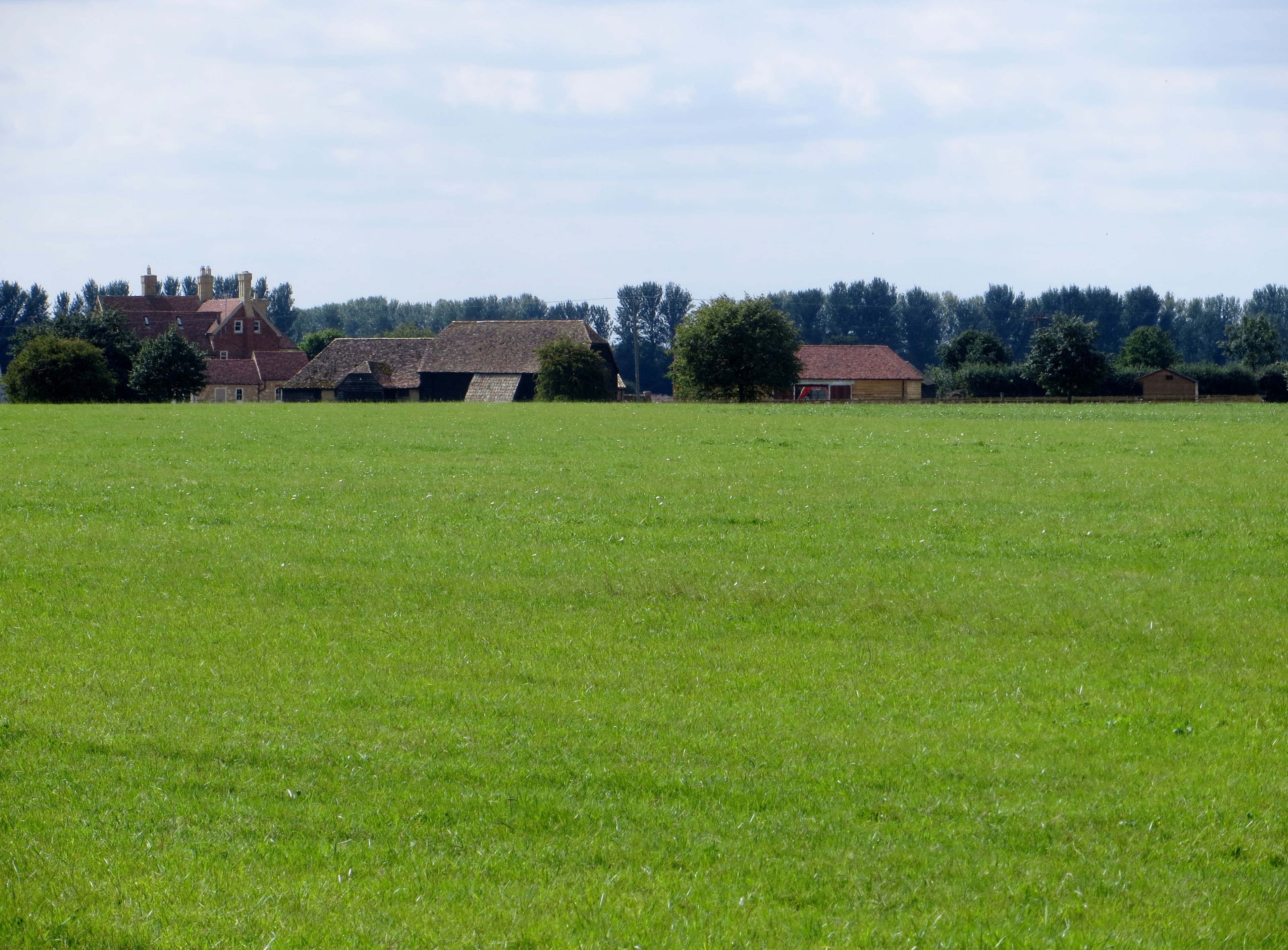 Foto “Diddington” tomada por Forester2009 (CC BY-SA); recorte de la original