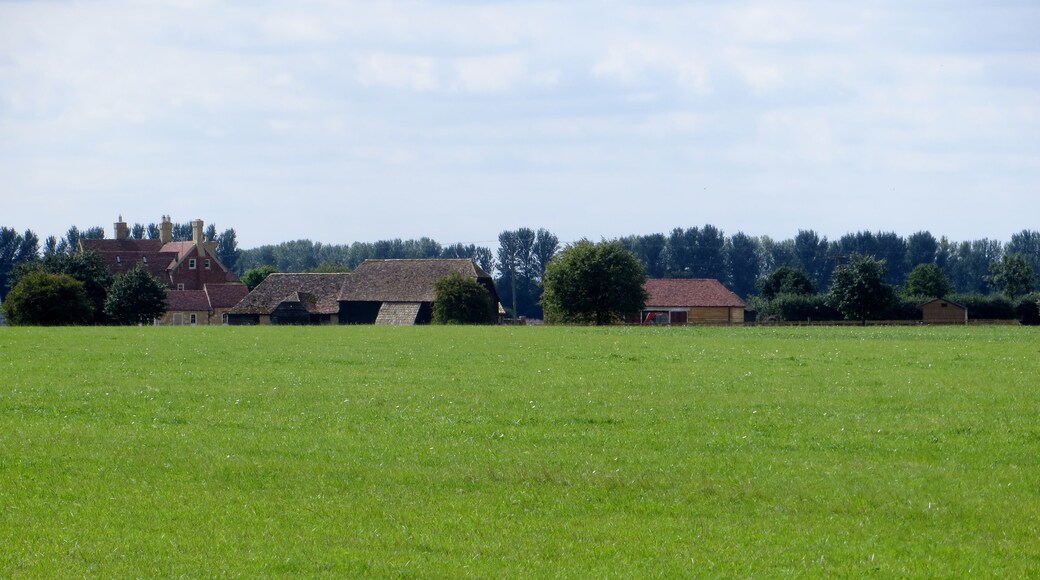 Foto “Diddington” tomada por Forester2009 (CC BY-SA); recorte de la original