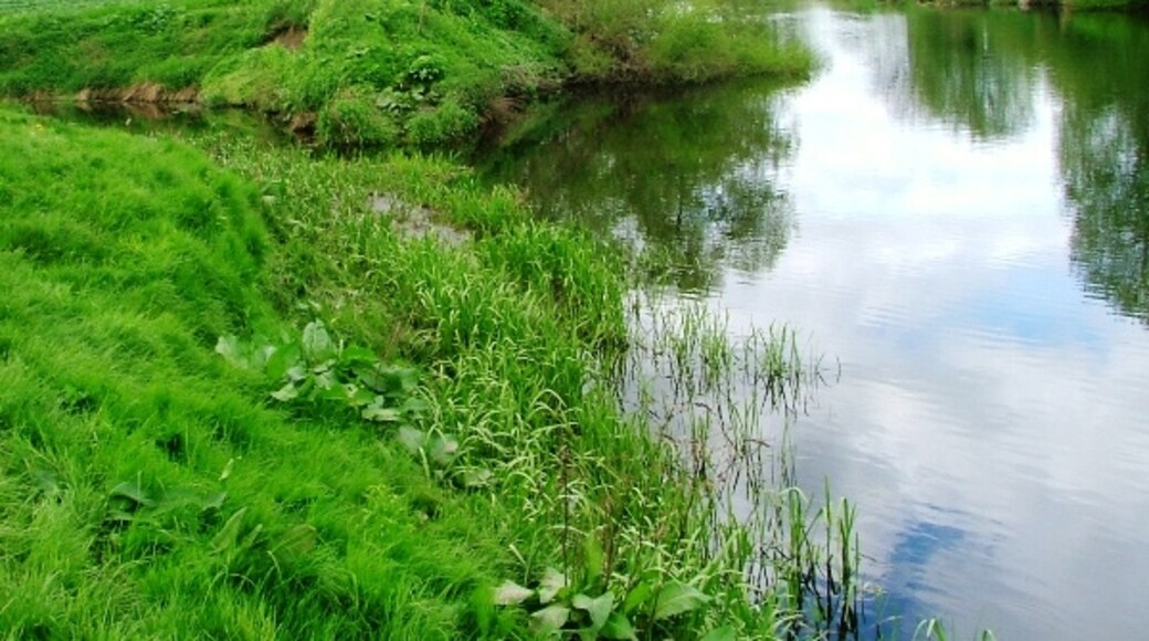 Foto “Low Worsall” tomada por Mick Garratt (CC BY-SA); recorte de la original