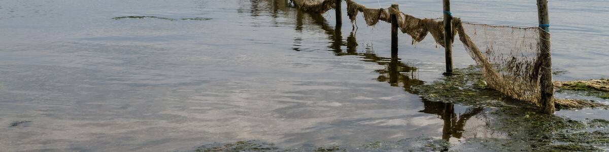 Photo "Fish trap on the island of Föhr." by F. Riedelio (Creative Commons Attribution-Share Alike 4.0) / Cropped from original