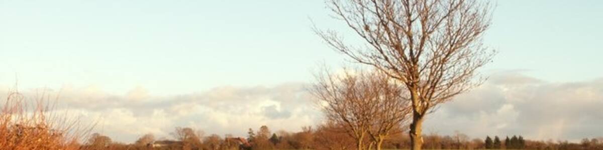 Photo "Footpath to Winston Hall and church" by Robert Edwards (Creative Commons Attribution-Share Alike 2.0) / Cropped from original