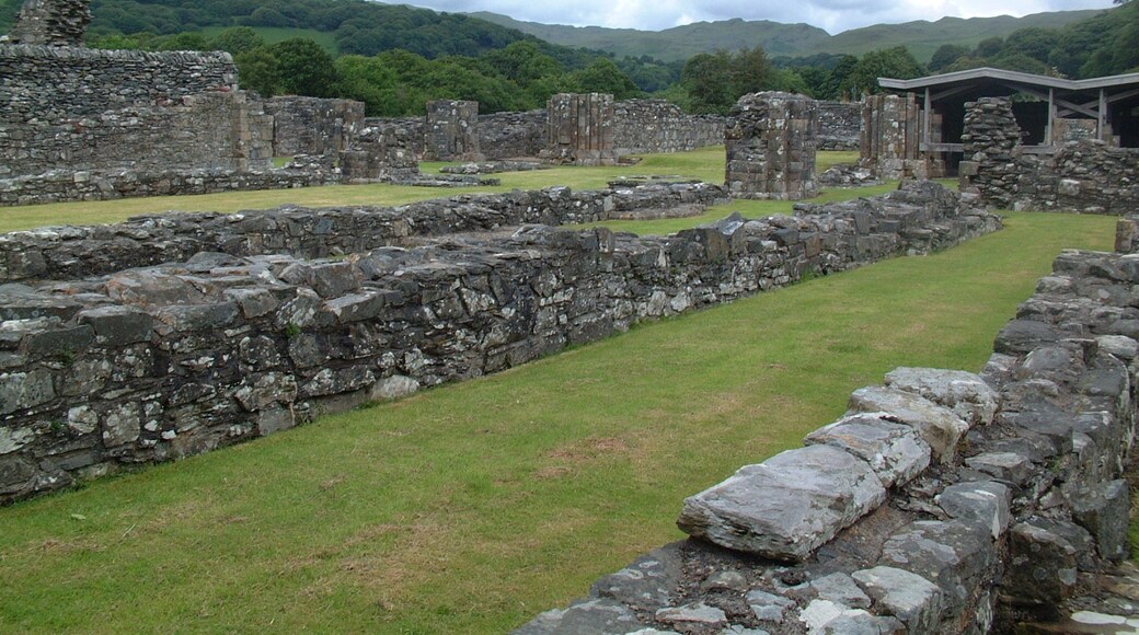 Foto “Strata Florida” feta per Mattbuck (CC BY-SA). Retallada de l’original.