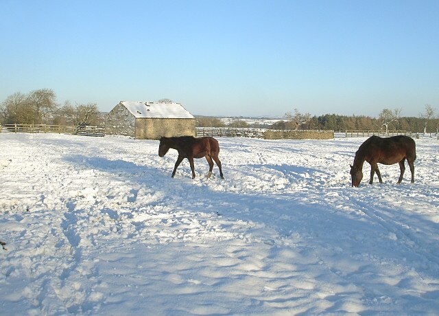 Foto "Boldron" de Andy Waddington (CC BY-SA) / Recortada do original