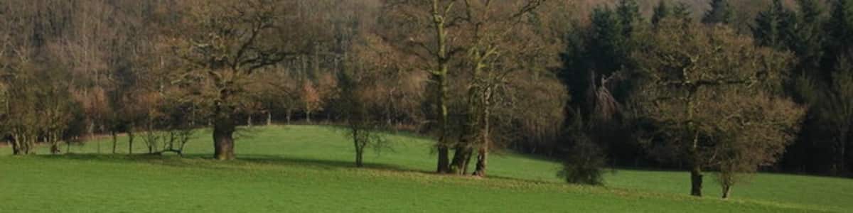 Photo "View towards Castle Hill Viewed from the Ridge to the west of Bodenham Farm. The wood in the valley is Spring Coppice. The building just visible on the hill is the derelict Castle Hill Farm." by Philip Halling (Creative Commons Attribution-Share Alike 2.0) / Cropped from original