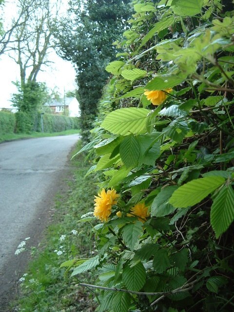 Billede "The Lee" af Rob Farrow (CC BY-SA) / beskåret fra det originale billede