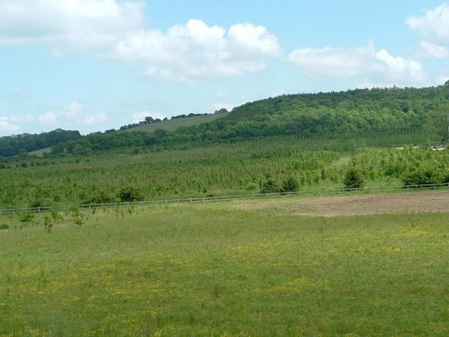 New Plantation, north of Barrowby, Lincolnshire, England. English Nature plantation that is covering the hillside around Thorns Farm, Great Gonerby. The more mature tree line in the centre of the photograph is the Northern roadside to the A1 as it approaches Gonerby Moor roundabout.