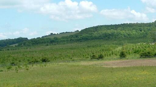 Photo "Barrowby" by Donnylad (CC BY-SA) / Cropped from original