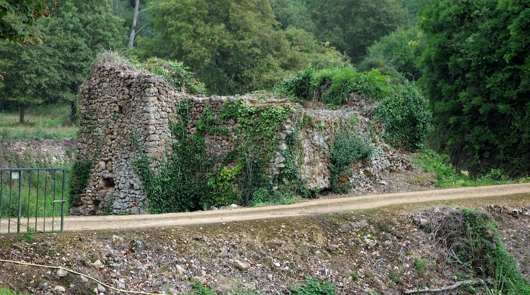 Foto "Château-la-Vallière" de Daniel Jolivet (CC BY) / Recortada do original