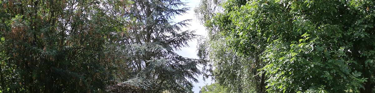 Photo "This is a picture of the hessian Kulturdenkmal (cultural monument) with the ID" by SBT (Creative Commons Attribution-Share Alike 4.0) / Cropped from original