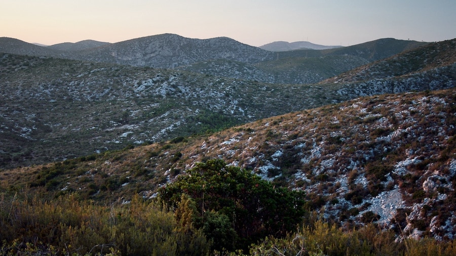 Photo "Parc Natural del Garraf" by Jorge Franganillo (Creative Commons Attribution 3.0) / Cropped from original
